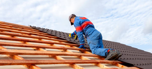 Best 4 Ply Roofing  in La Vista, NE