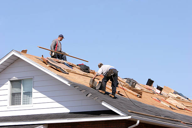 Best Roof Maintenance and Cleaning  in La Vista, NE